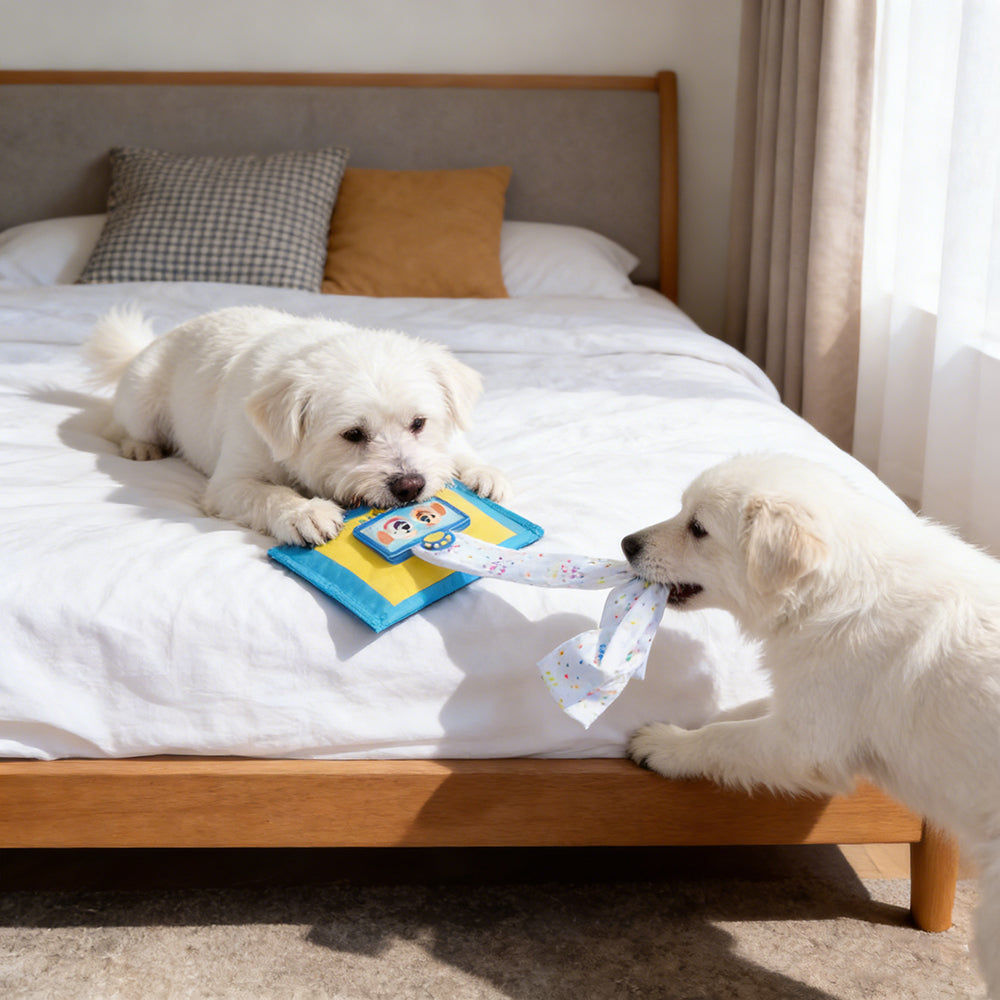 Squeaky Tissue Box Pet Toy