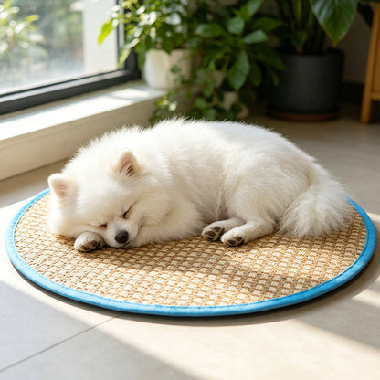 Round Summer Pet Mat, Breathable Ice Pad