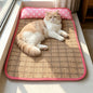 Cooling Pet Mat with Pillow, Rattan Mat for Cats and Dogs