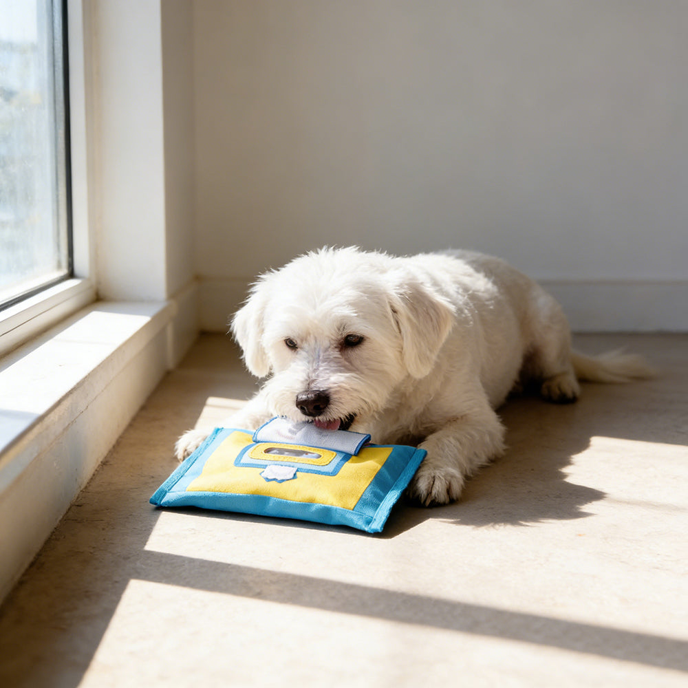 Squeaky Tissue Box Pet Toy