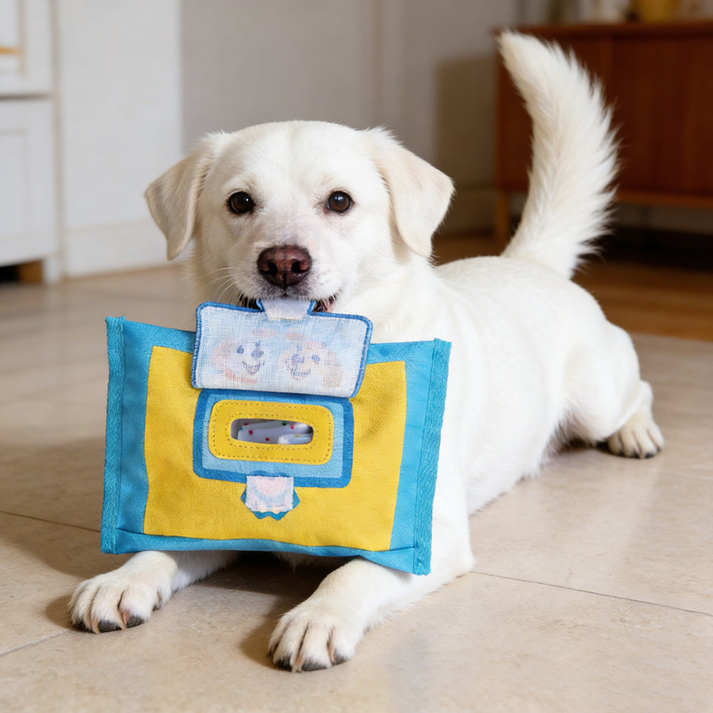 Squeaky Tissue Box Pet Toy